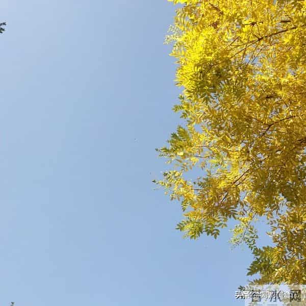 别犯忌讳！十月初十晚上，牢记：1不熬、2不做、3不问、4不聚