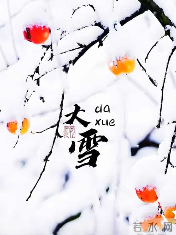 大雪：一季一岁一身暖，一节一令一问安，仲冬岁寒，惟愿君安！