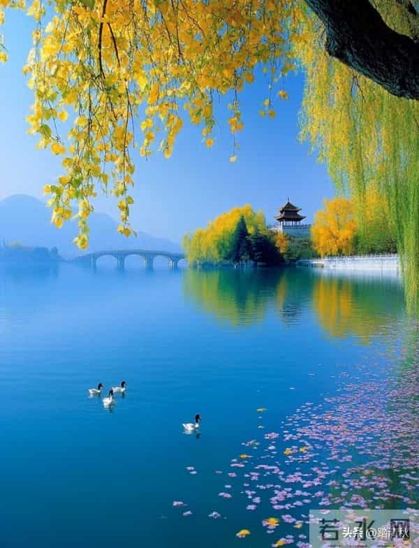 写的最有意境的15句诗词，字字惊鸿，读完满口生香，回味无穷！