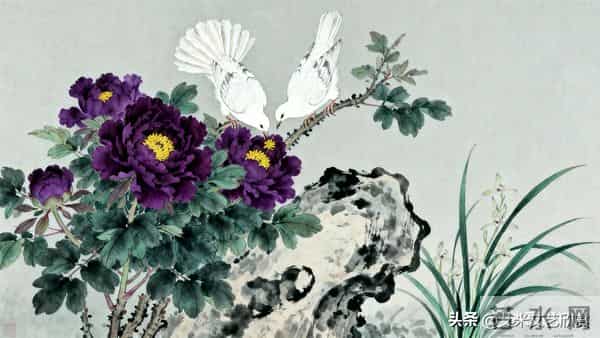 丹色琼羽：于非闇牡丹双鸽的富丽与生机