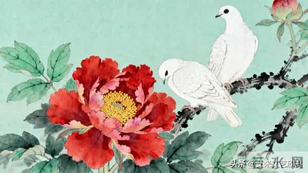 丹色琼羽：于非闇牡丹双鸽的富丽与生机