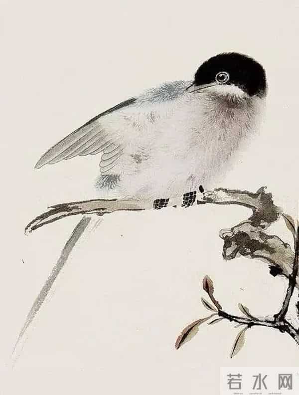 张其翼：笔下鸟鸣花开，近代花鸟画的天纵之才