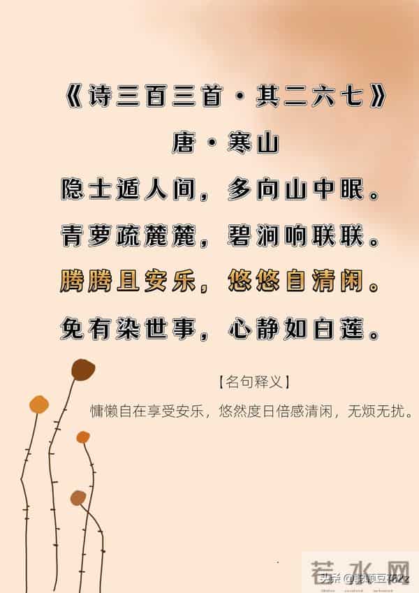 闲适生活｜陶然无喜亦无忧，人生且自由。