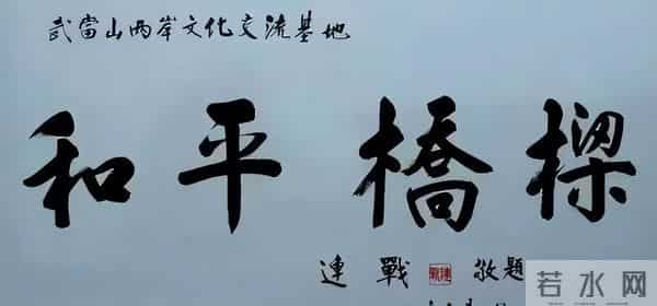 郑丽文是连战小跟班的照片您见过？连战书法远胜于郑丽文！你认可