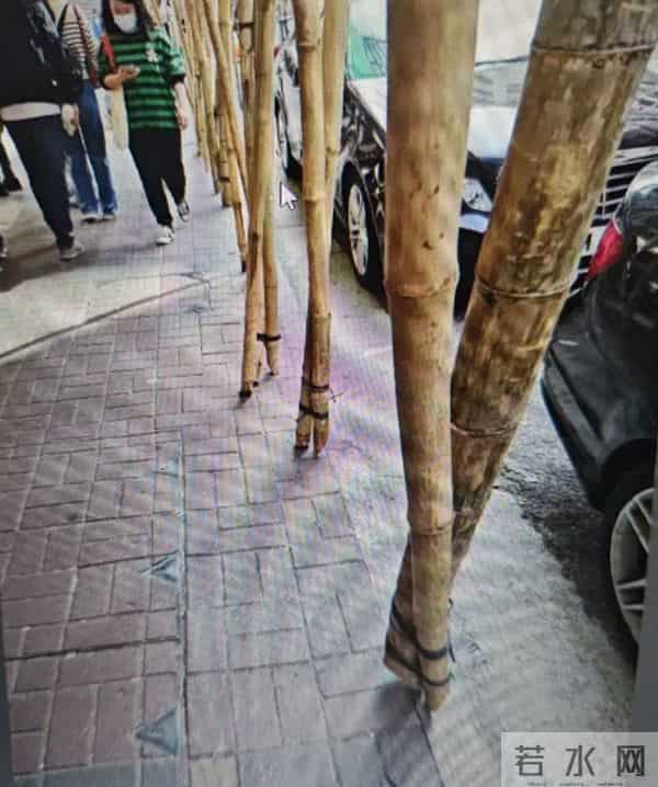 竹架是香港的非遗文化，因成本低搭建方便广泛使用