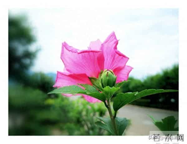 纠结时默念《金刚经》8字，90%的烦恼都能化解