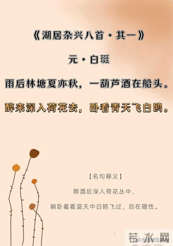 闲适生活｜陶然无喜亦无忧，人生且自由。