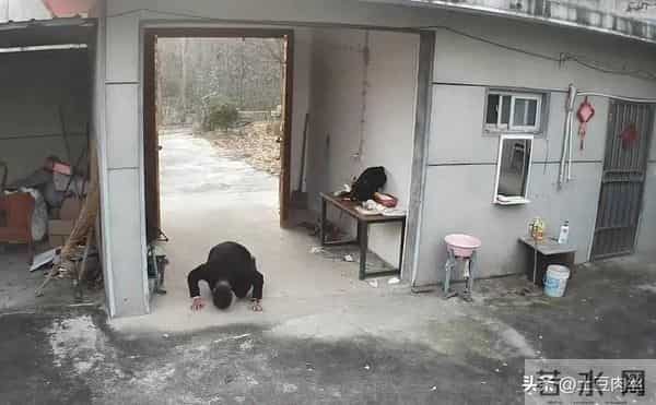 男子离家前跪地磕3个响头，父母已不在房子没人住：多80后都这样