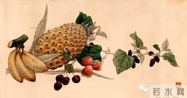 大师就是大师！看看他笔下的花鸟、飞禽和走兽！