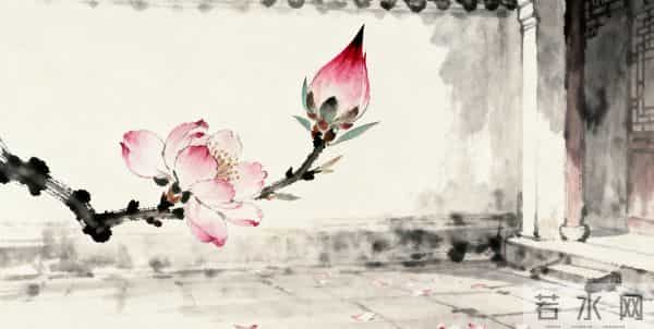 红楼同花异命06 - 桃花双生：袭人的柔是归处，晴雯的烈是宿命