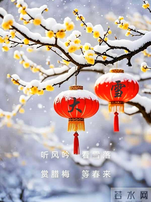 大雪：一季一岁一身暖，一节一令一问安，仲冬岁寒，惟愿君安！