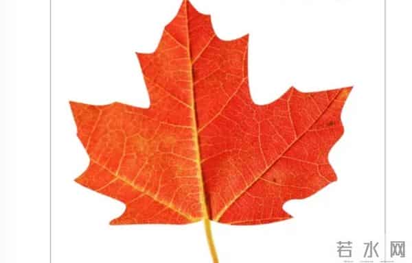 红楼辩伪：黛玉和妙玉出生之地 阊门外十里街champs Elysees