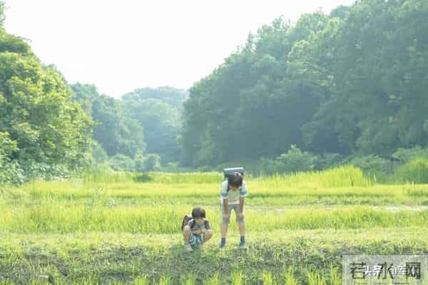 老家有个堂哥，年轻时候特好色。因为他家穷，快三十岁了还没结婚