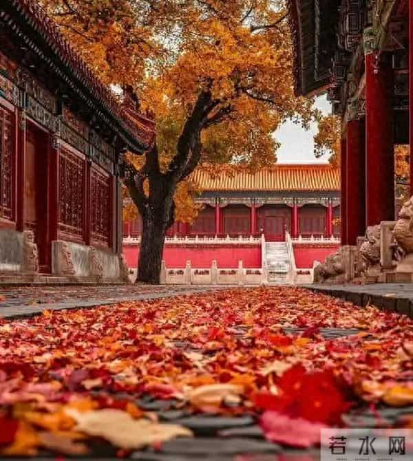 5首北风唐诗，穿越千年的呼啸