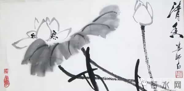 娄师白精品花鸟39幅！！