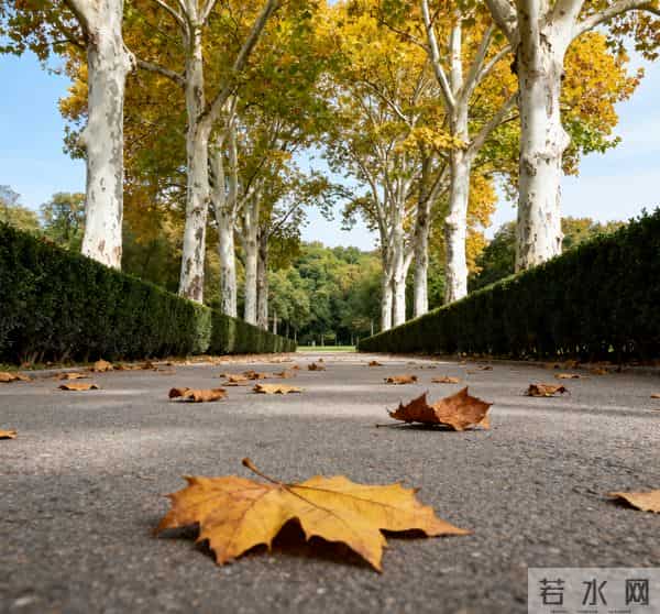 40首婉约风格的七言绝句，揽烟霞草木，藏人间温柔情长