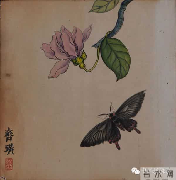 白石老人绝美草虫大荟萃，实在是太养眼啦！