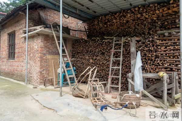 老家有个堂哥，年轻时候特好色。因为他家穷，快三十岁了还没结婚