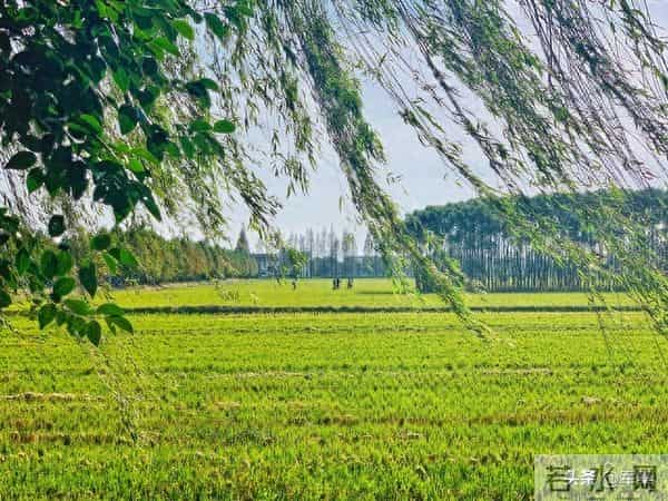 老家有个堂哥，年轻时候特好色。因为他家穷，快三十岁了还没结婚