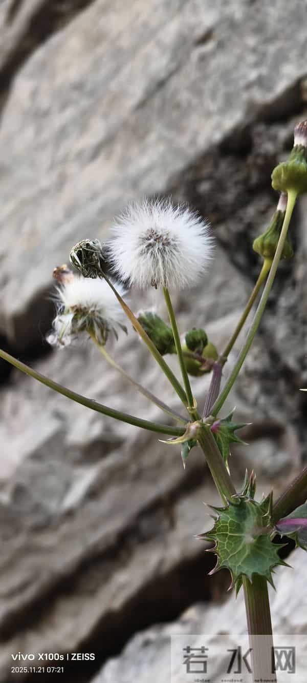 一天一首打油诗之生活