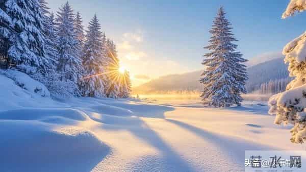 踏雪而行，霜雪漫巷。落叶辞枝，岁月留痕。时光印记霜雪人生哲思