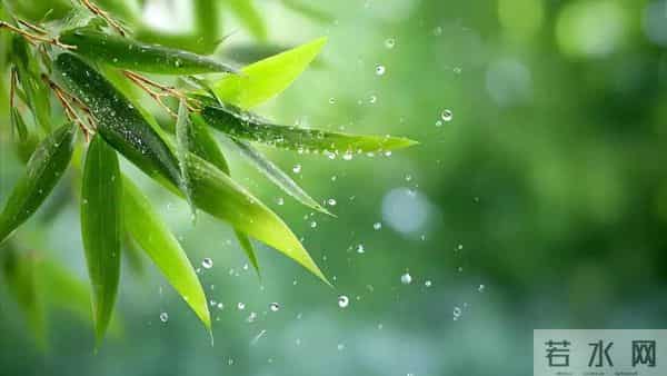 刘禹锡这首酬赠诗，彰显文人气节，常读常新，值得收藏