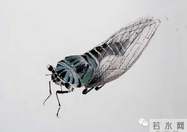 白石老人绝美草虫大荟萃，实在是太养眼啦！