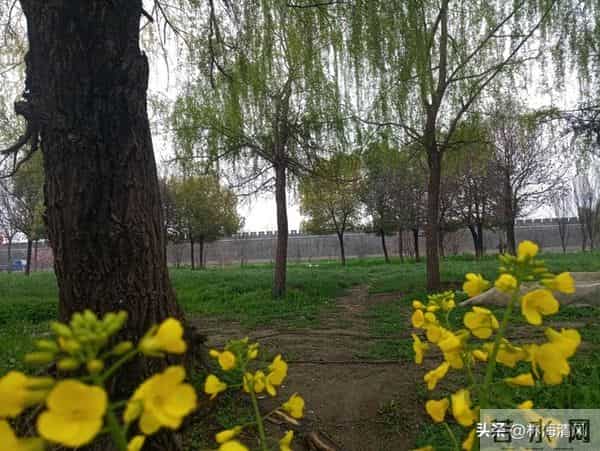 纠结时默念《金刚经》8字，90%的烦恼都能化解