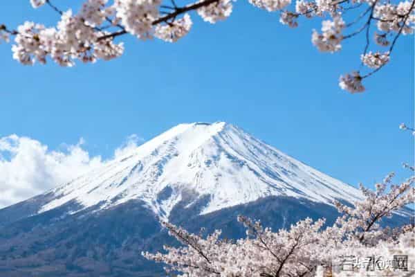 一个人最大的清醒和强大：管好自己