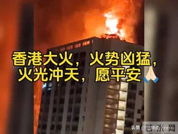 大火的无情是对众生的有情，如同阿紫一样