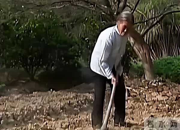 老太二十多年不吃饭，医院检查无大碍，女儿给出线索：与父亲有关