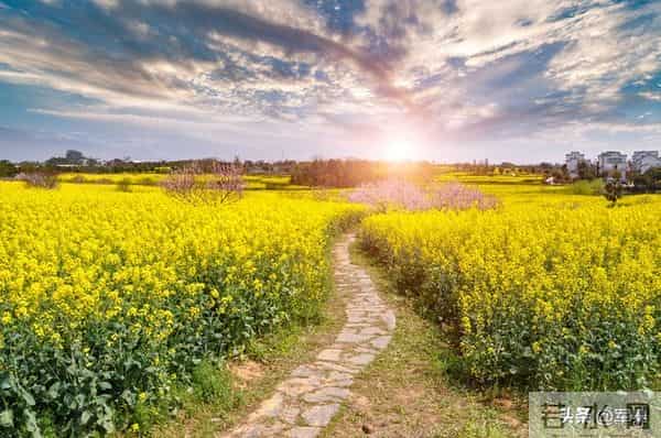 老家有个堂哥，年轻时候特好色。因为他家穷，快三十岁了还没结婚