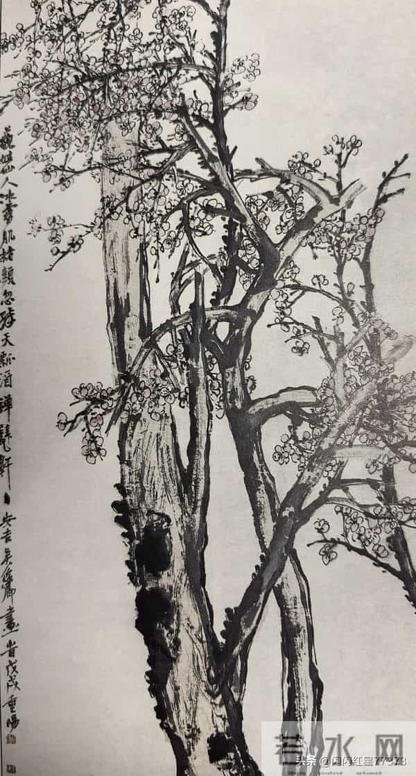 吴昌硕先生的梅花