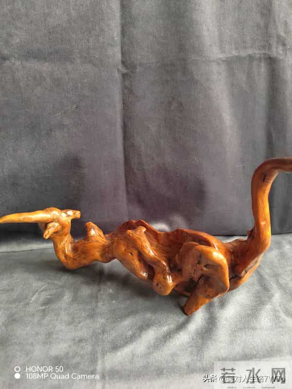 崖柏-悬崖上的生命，木头中的钻石