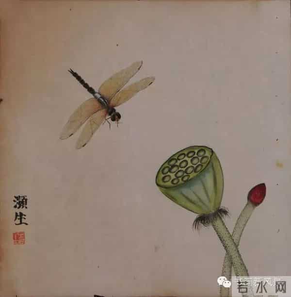 白石老人绝美草虫大荟萃，实在是太养眼啦！