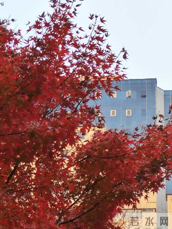 上联：喧街灯火催诗醉，上联：轻吟经律禅香绕，下联？原创对联