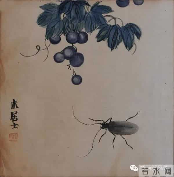 白石老人绝美草虫大荟萃，实在是太养眼啦！