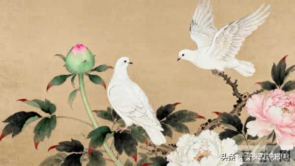 丹色琼羽：于非闇牡丹双鸽的富丽与生机