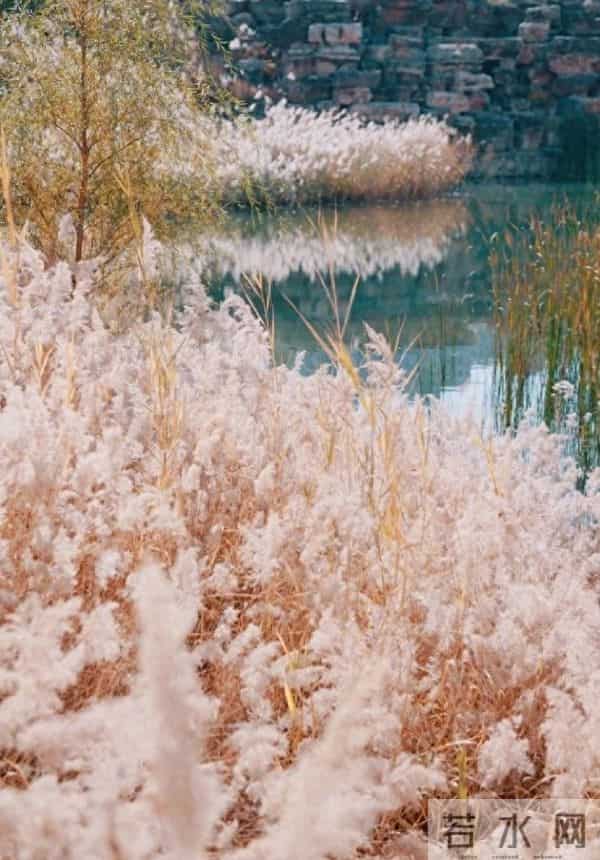 清初词人董以宁的十首诗词，留得当时临别泪，经年不忍浣衣裳。