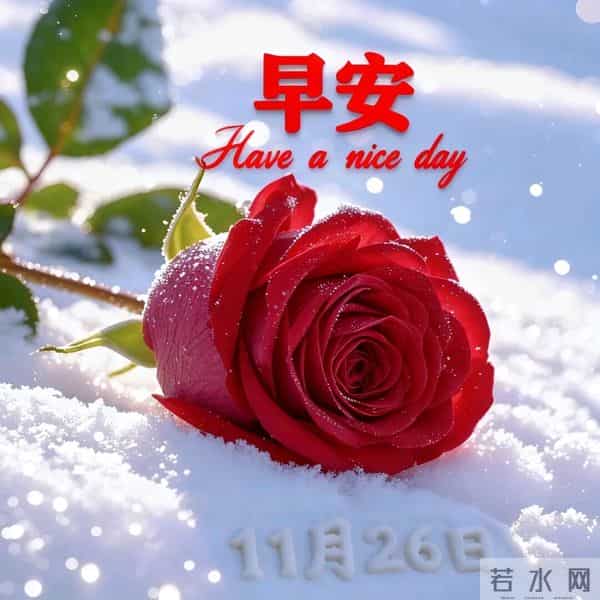 2025年11月27日早上好朋友