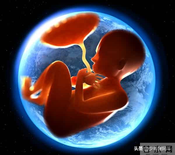 生男生女是随机还是注定？看古人智慧与现代科学的解读