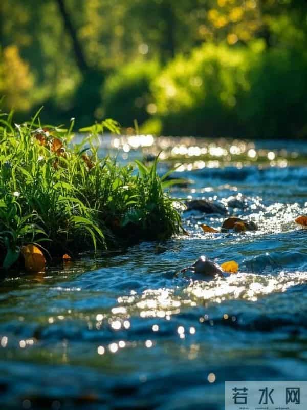 散文｜敬所有年纪