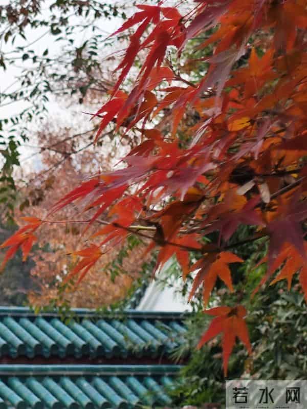 上联：喧街灯火催诗醉，上联：轻吟经律禅香绕，下联？原创对联