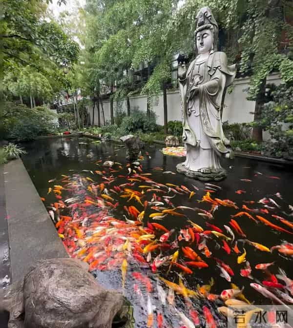 曾老：离火大运，龙蛇之变！出现这些迹象，恭喜你，老天在帮你