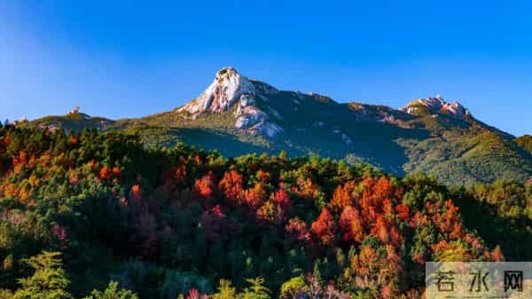 张颂文发朋友圈又提家乡韶关