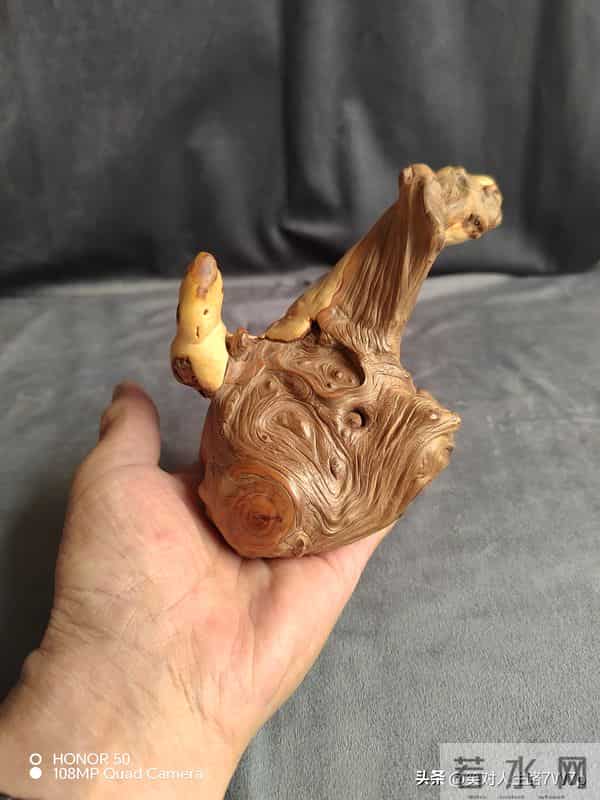 崖柏-悬崖上的生命，木头中的钻石