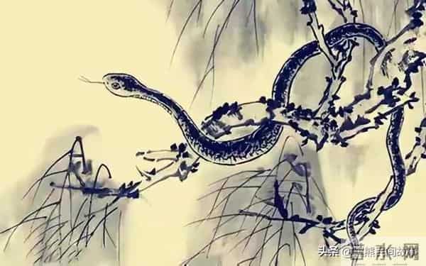 民间故事：蛇妖作乱