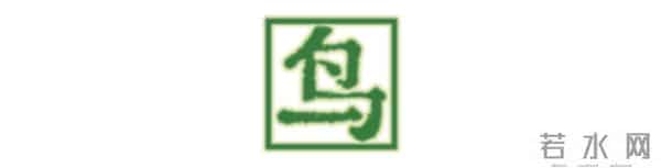 关于作家韩江的10个关键词，「诺贝尔奖」只是其中之一