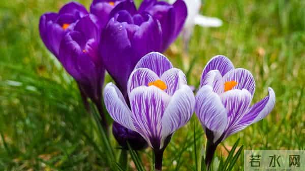 属牛，11月28号至12月2日会有事发生，你知道了吗？