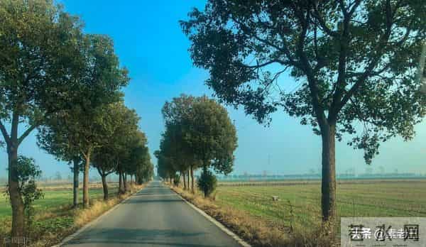 关东风雪情——沉闷的日子（120）